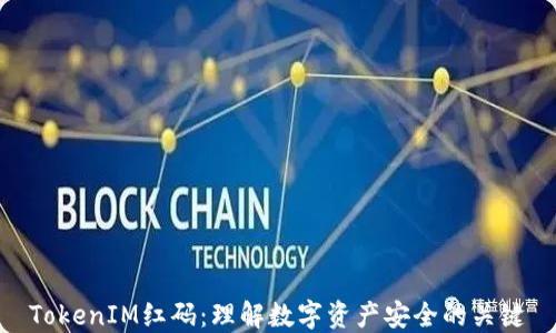 
TokenIM红码：理解数字资产安全的关键
