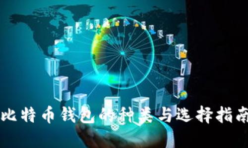 比特币钱包的种类与选择指南