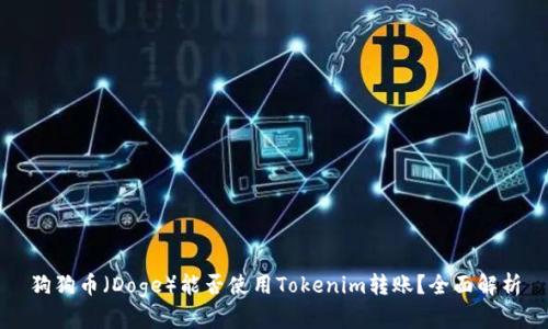狗狗币（Doge）能否使用Tokenim转账？全面解析