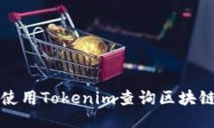 如何使用Tokenim查询区块链