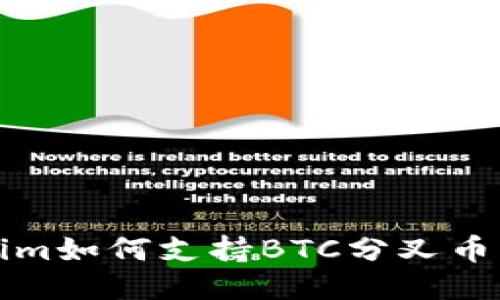 Tokenim如何支持BTC分叉币的使用