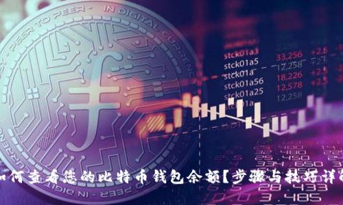 如何查看您的比特币钱包余额？步骤与技巧详解