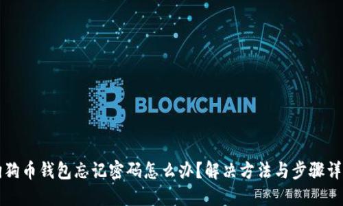 狗狗币钱包忘记密码怎么办？解决方法与步骤详解