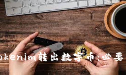 如何安全地从Tokenim转出数字币：必要的验证步骤详解
